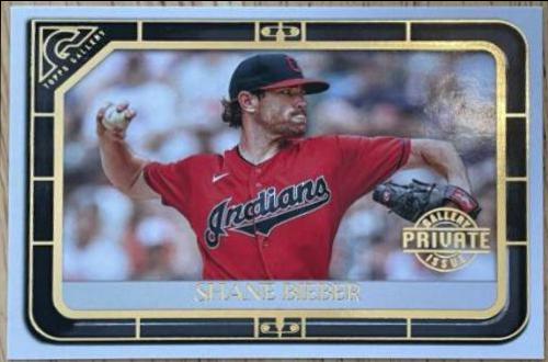 Shane Bieber [Private Issue] #85