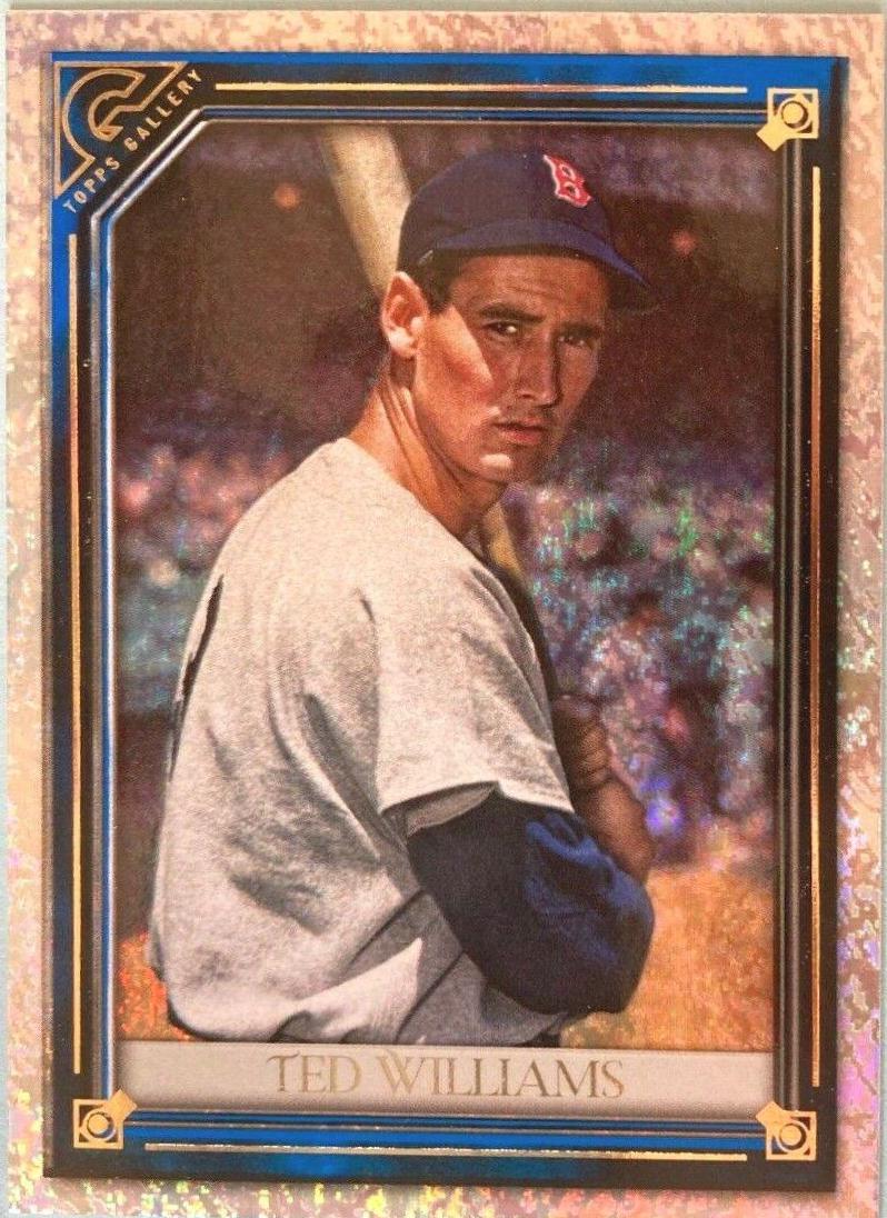 Ted Williams [Blue Pattern] #46
