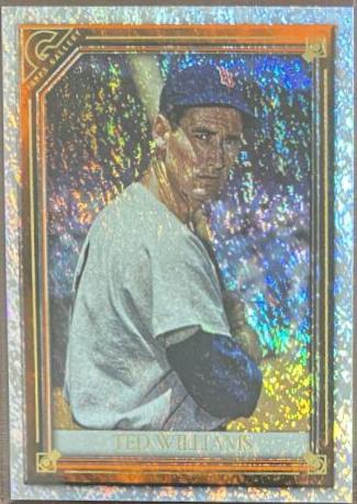 Ted Williams [Orange Pattern] #46