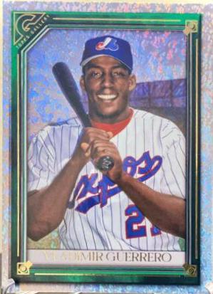 Vladimir Guerrero [Green Pattern] #138