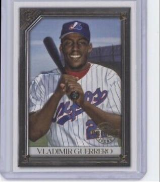 Vladimir Guerrero [Private Issue] #138