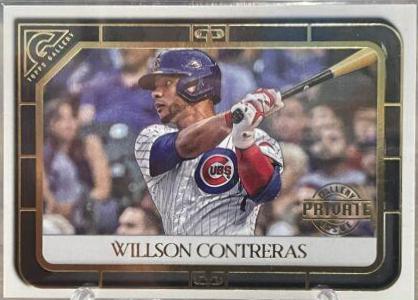 Willson Contreras [Private Issue] #100