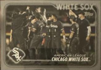 Chicago White Sox [Platinum] #464
