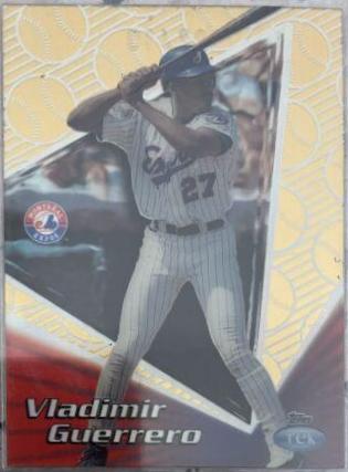 Vladimir Guerrero [Pattern 1] #13A