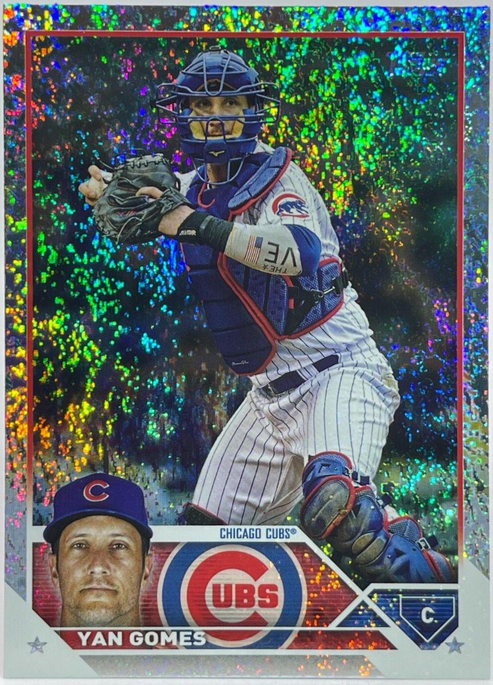 Yan Gomes [Hobby Foil] #569