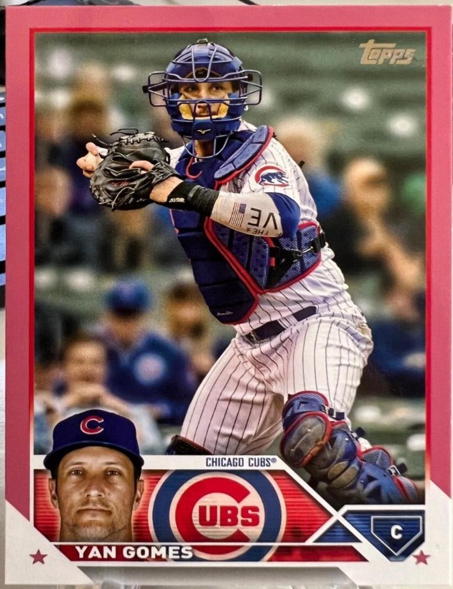 Yan Gomes [Mother's Day Pink] #569