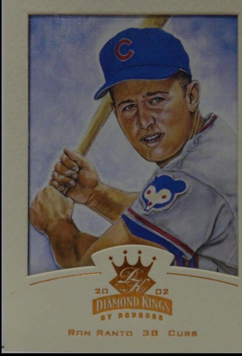 Ron Santo [Framed Portraits Bronze] #146