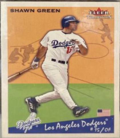 Shawn Green #378