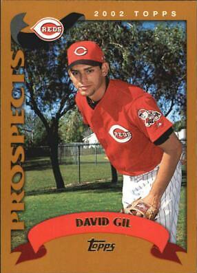 David Gil #T173