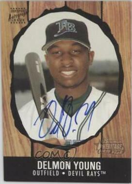 Delmon Young #253