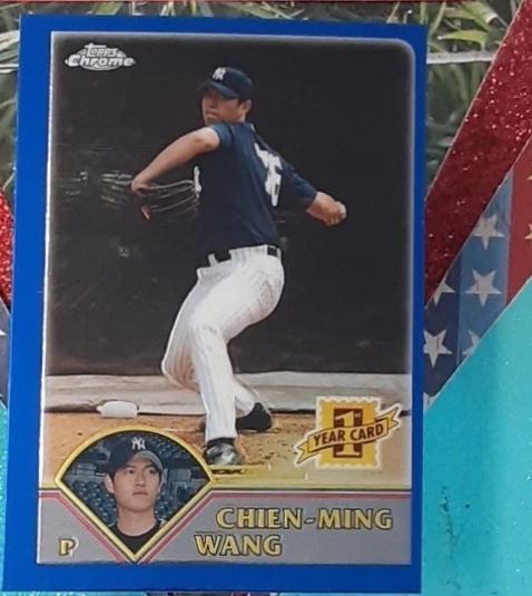 Chien Ming Wang #T245