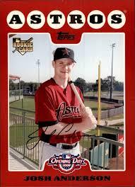 Josh Anderson #210