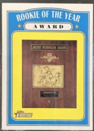 Rookie of the Year Award #368