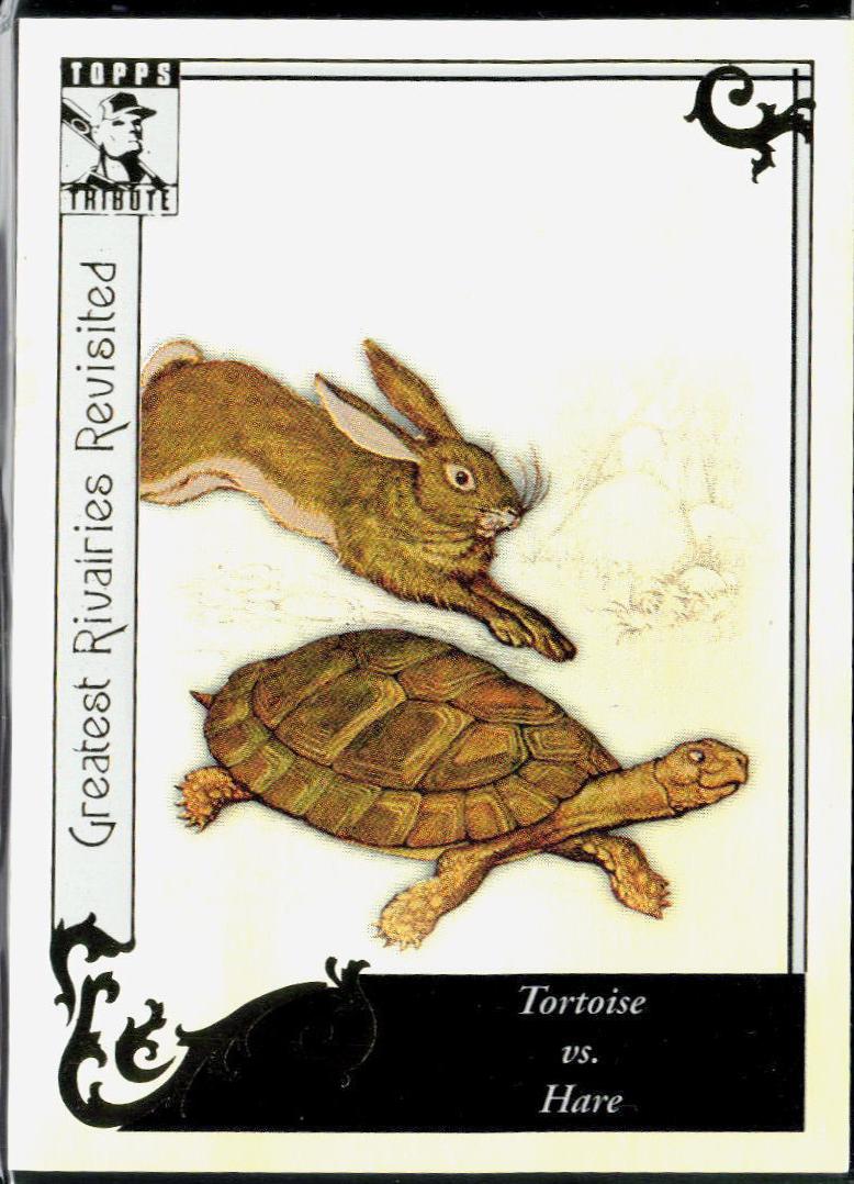 Tortoise vs. The Hare #GR-100