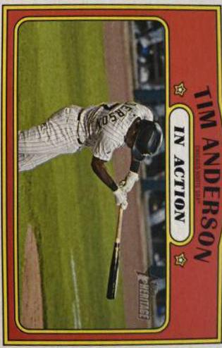 Tim Anderson #244