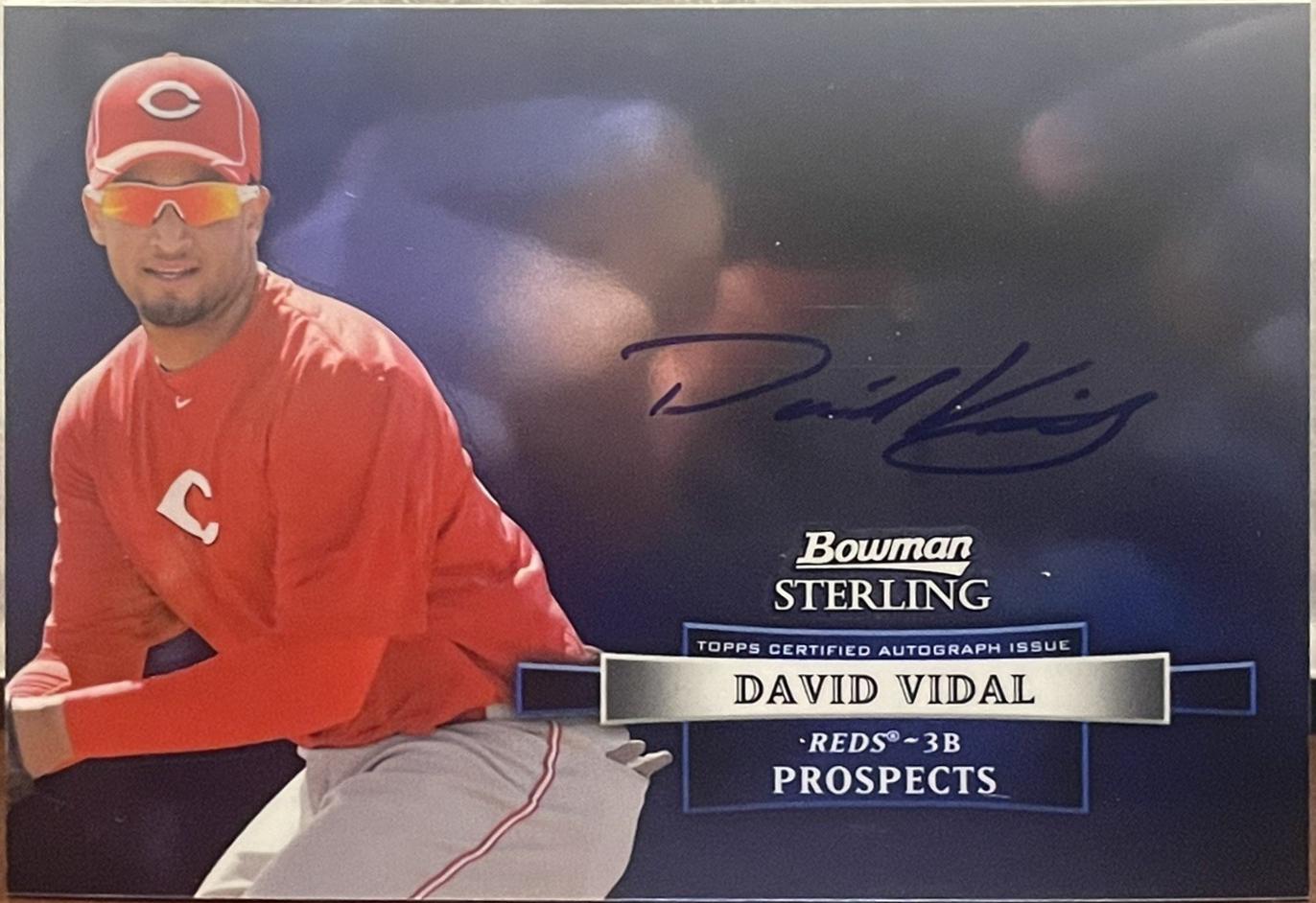 David Vidal #DV