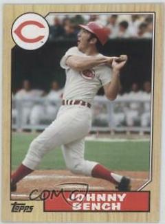 Johnny Bench #TM-100
