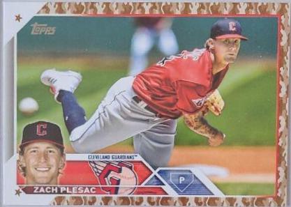 Zach Plesac [Memorial Day Camo] #476