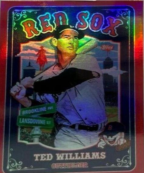 Ted Williams [Rainbow Foil] #865