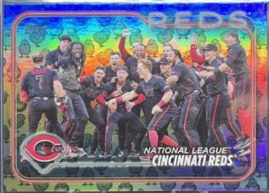 Cincinnati Reds [Chicks] #238