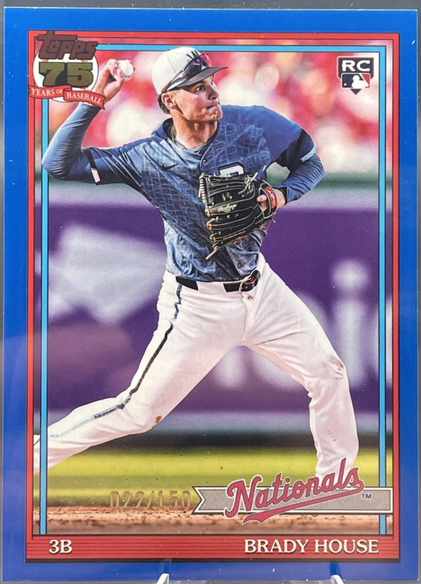 Brady House [Blue] #T91-41