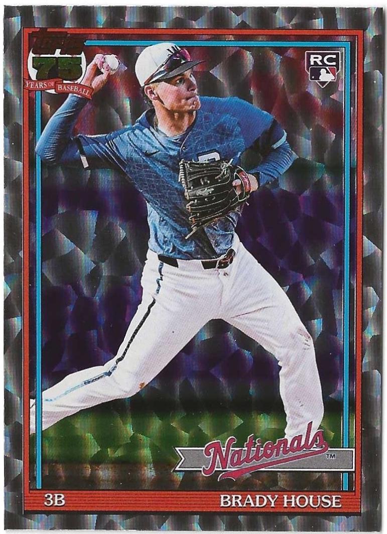 Brady House [Crackleboard Foil] #T91-41