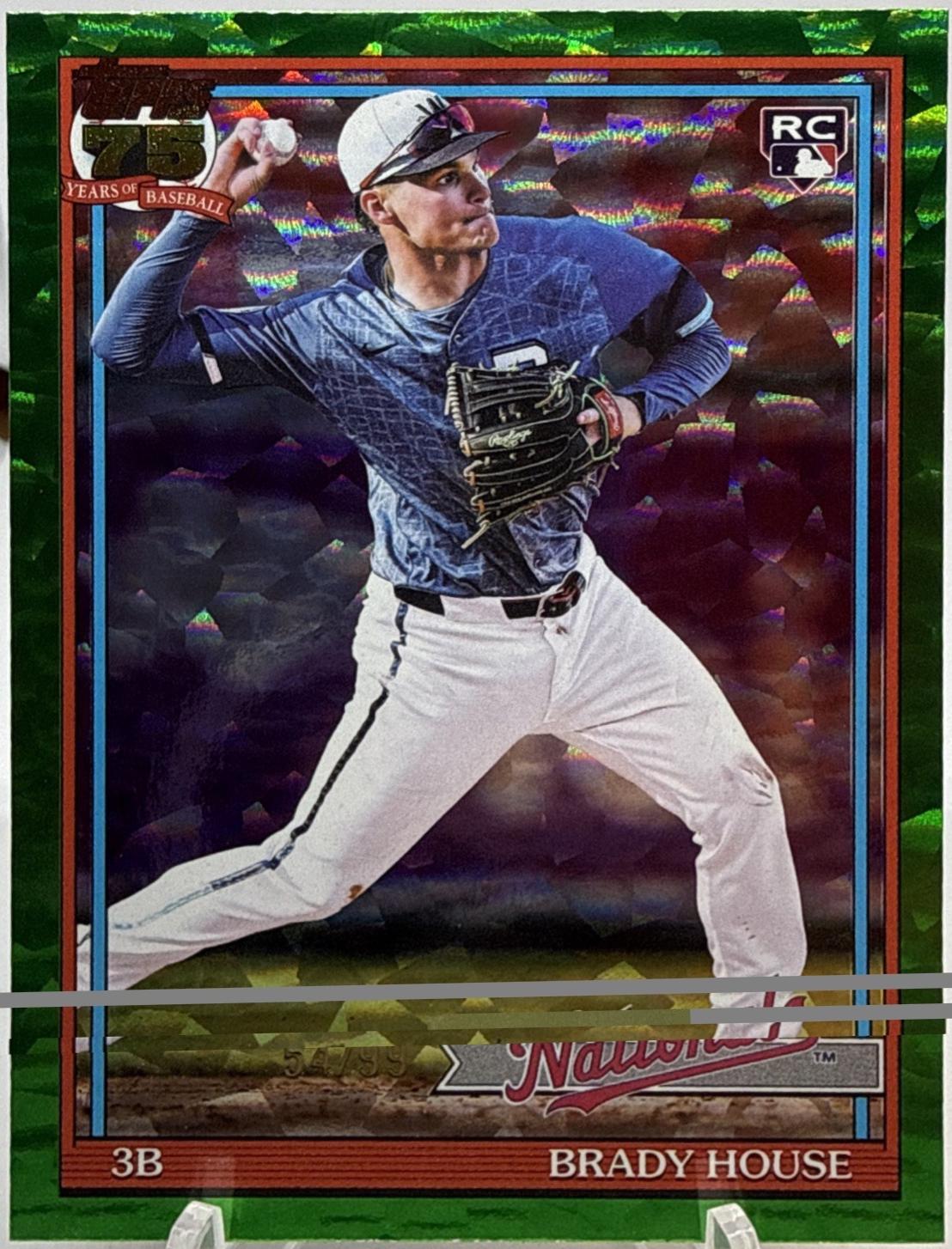 Brady House [Green] #T91-41