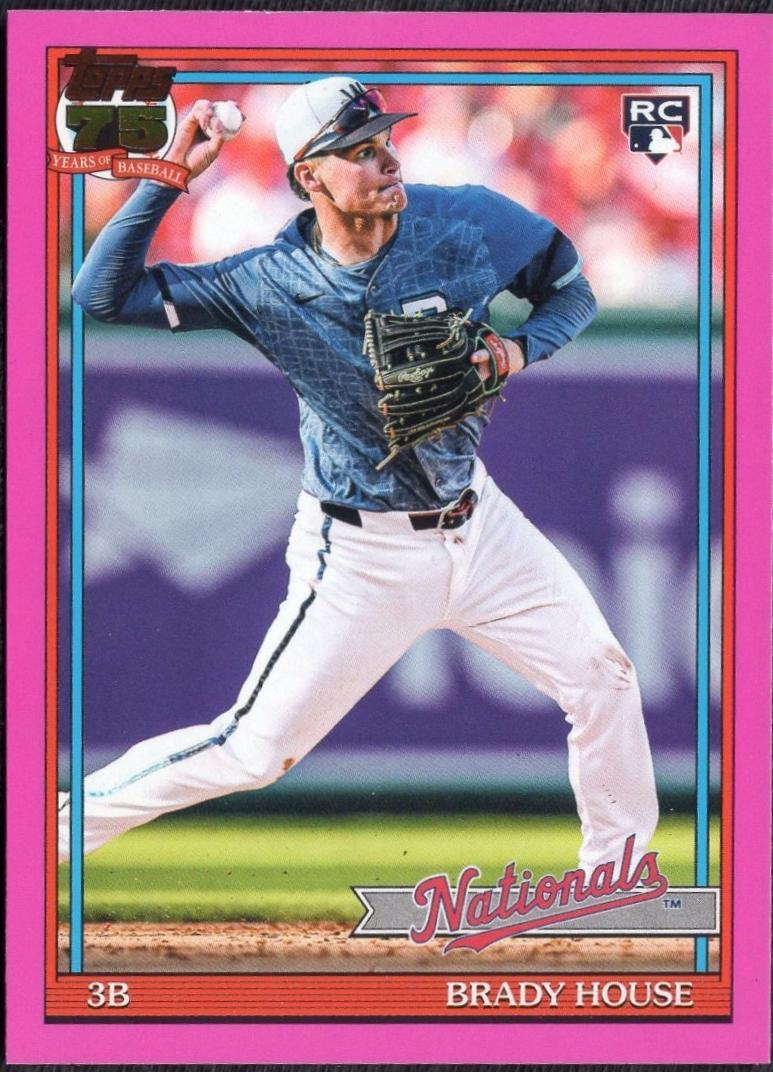 Brady House [Pink] #T91-41