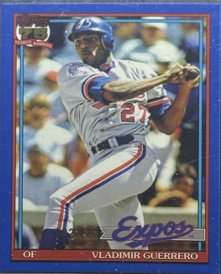 Vladimir Guerrero [Blue] #T91-93