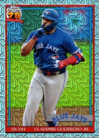 Vladimir Guerrero Jr. #91C-72