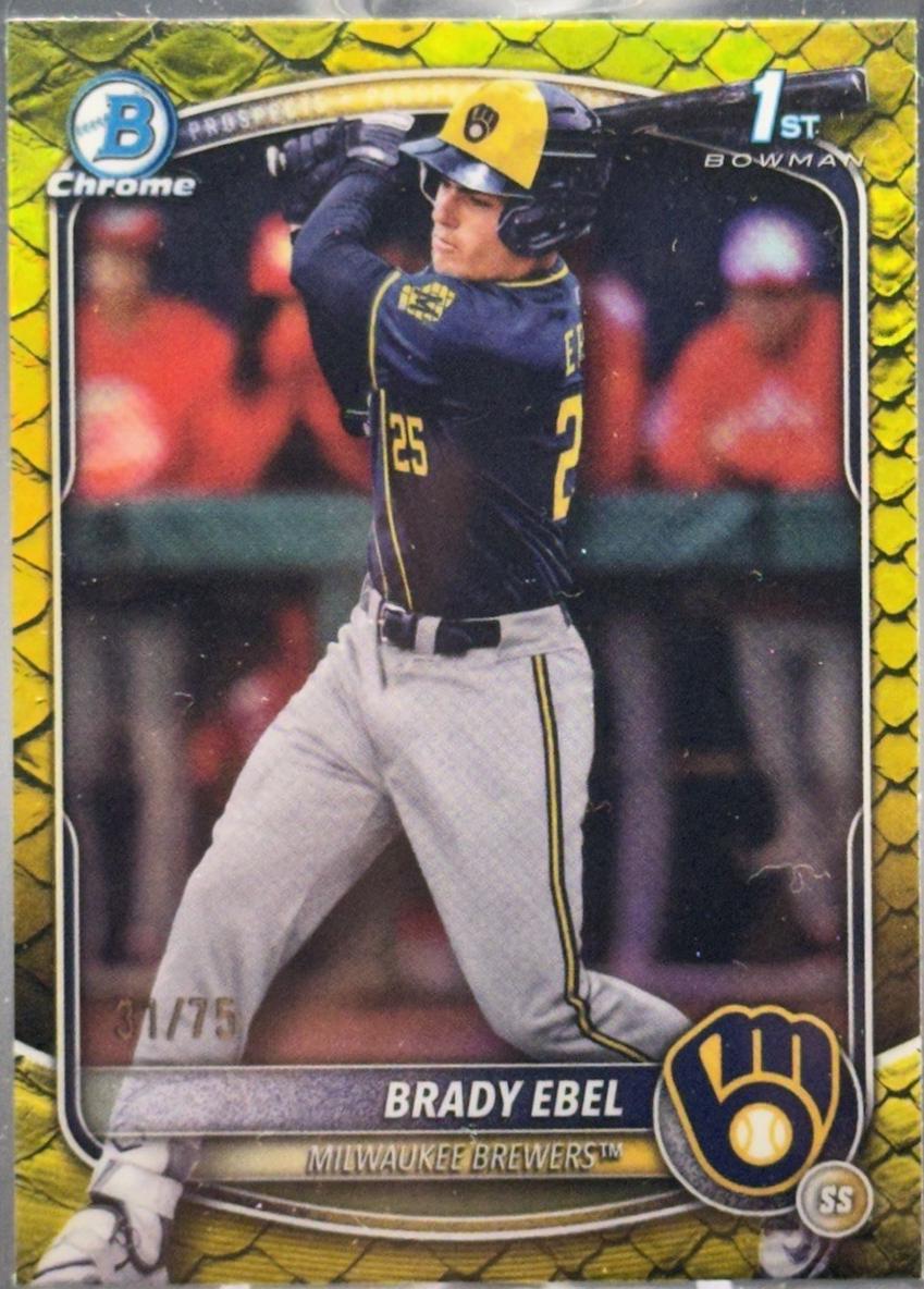 Brady Ebel [Yellow Reptilian Refractor] #BDC-194