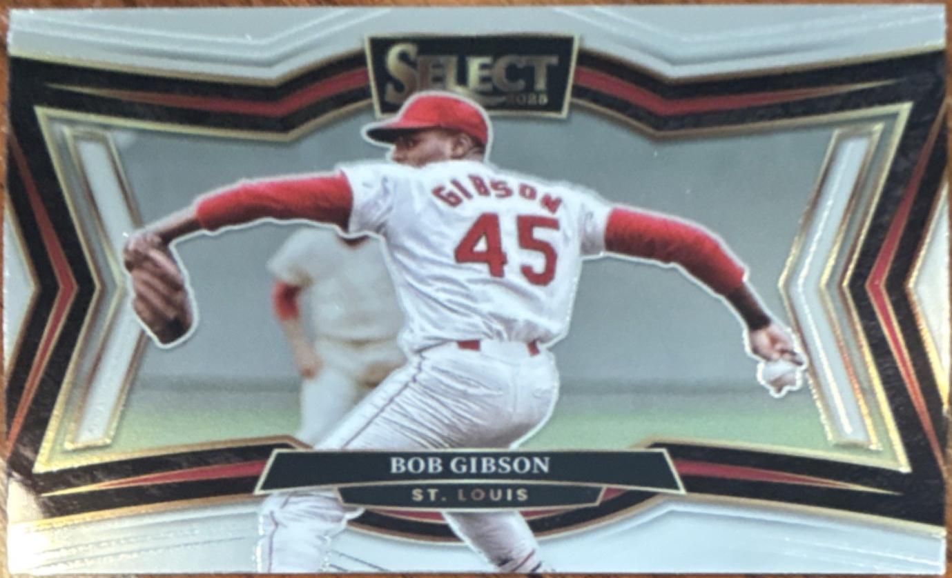 Bob Gibson #220