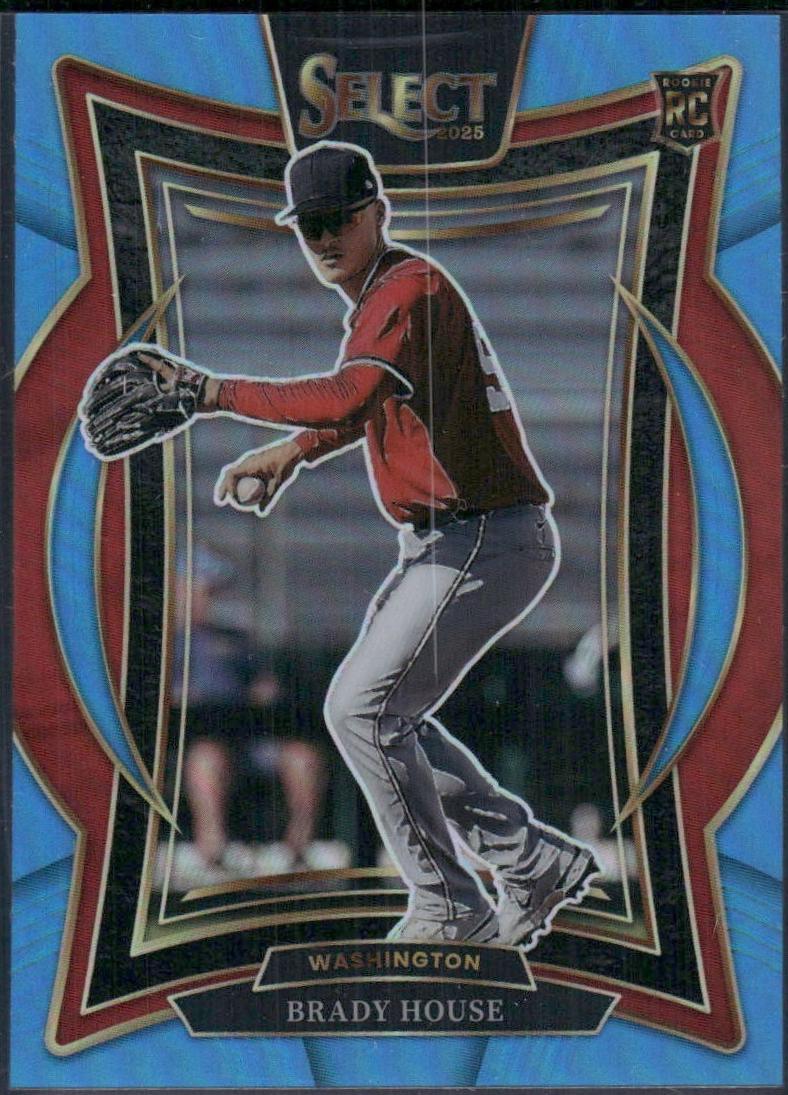 Brady House [Light Blue] #53