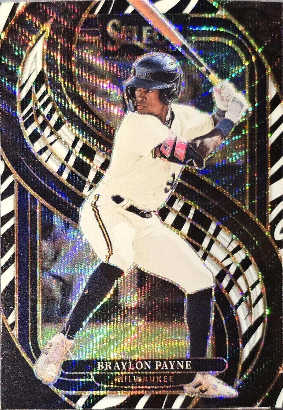 Braylon Payne [Zebra] #151