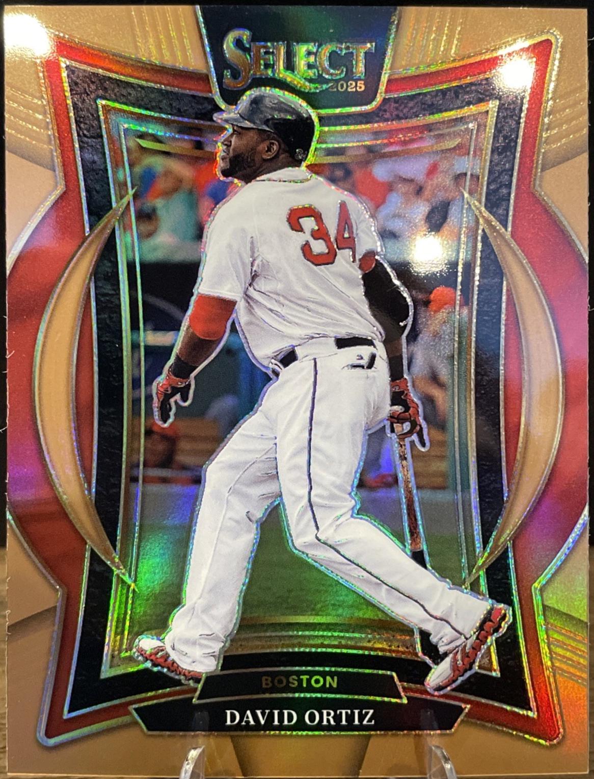 David Ortiz [Bronze] #96