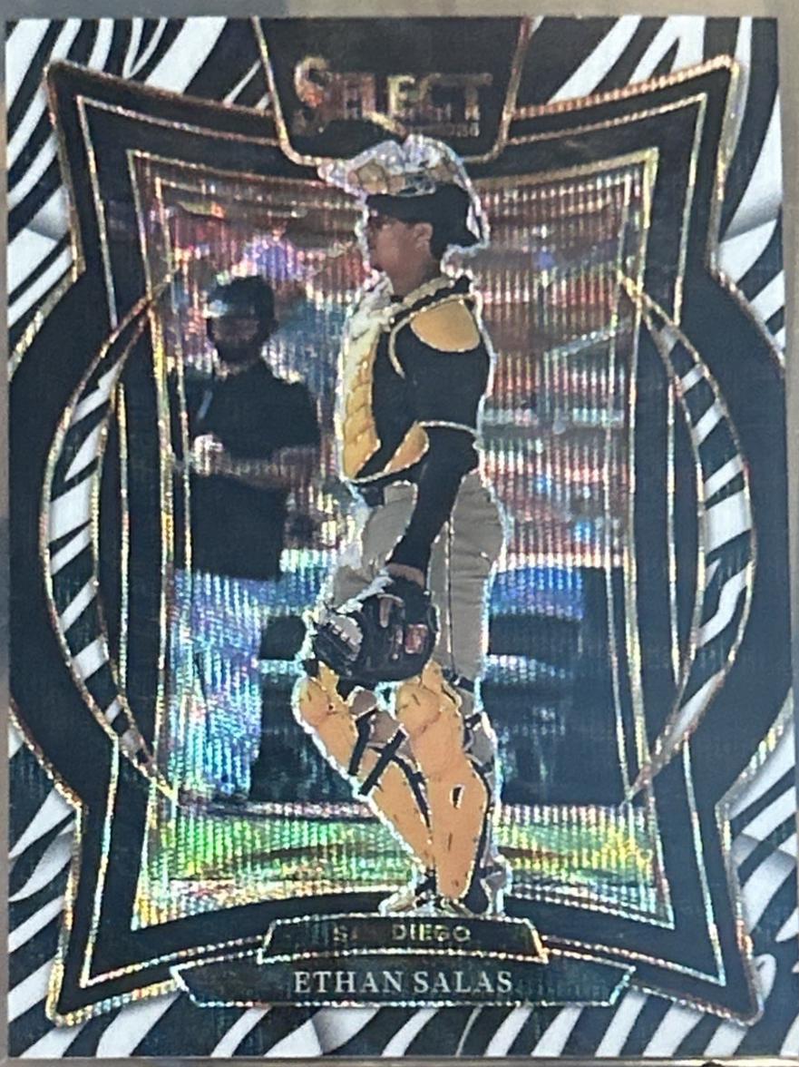 Ethan Salas [Zebra] #17