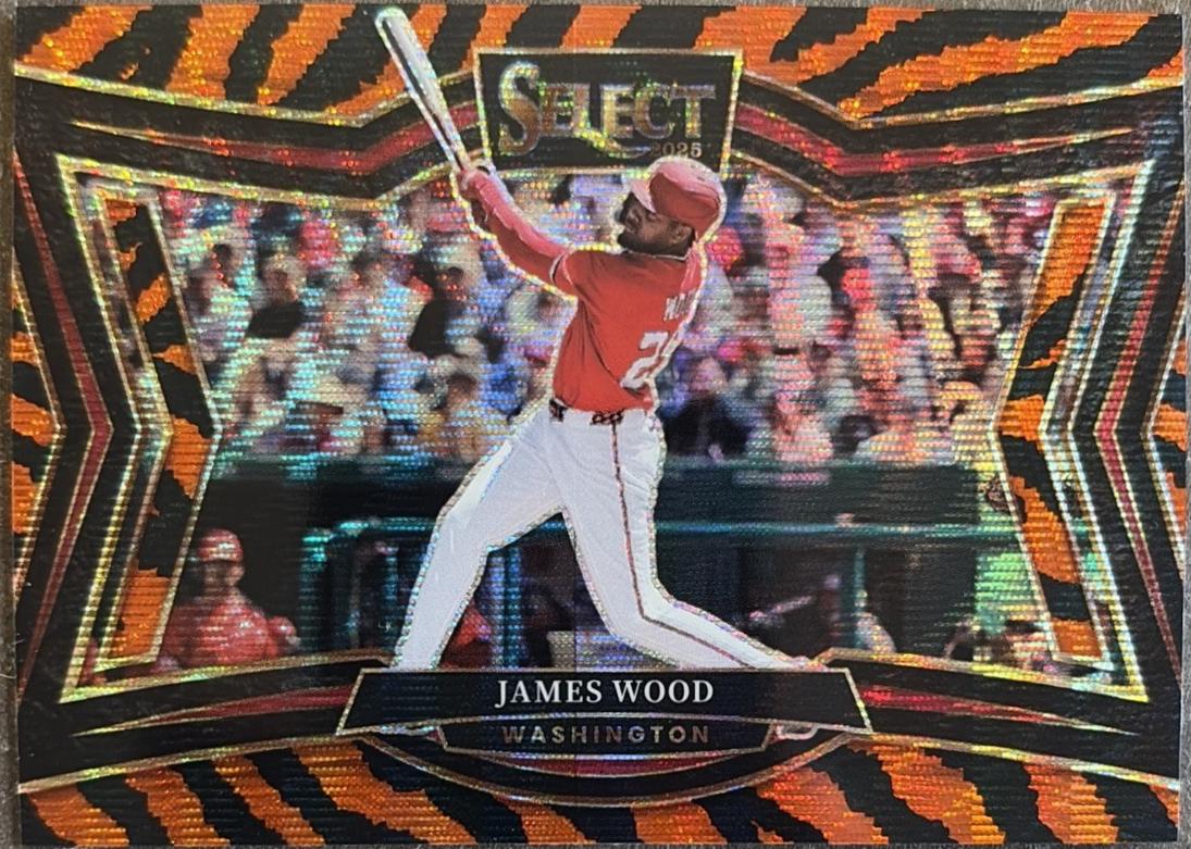 James Wood [Tiger] #289