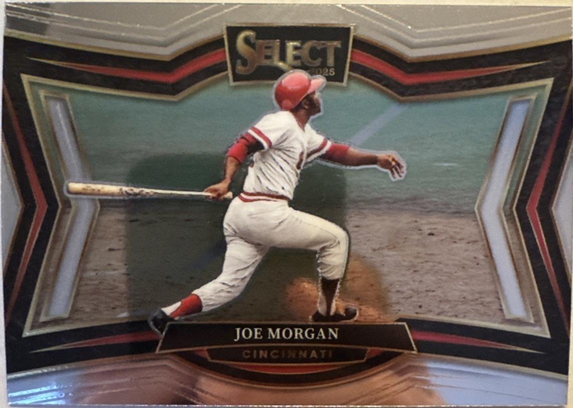 Joe Morgan #262