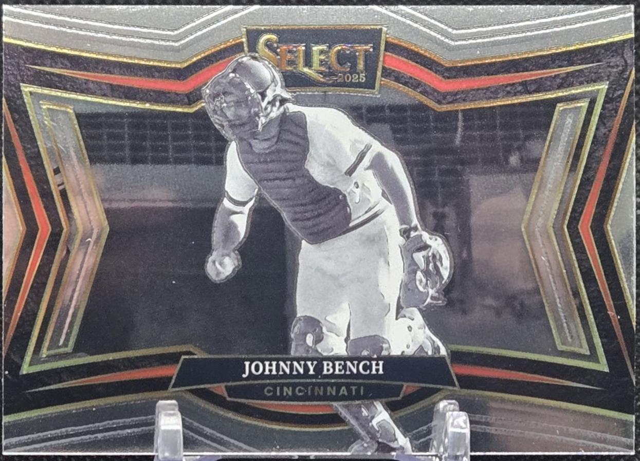 Johnny Bench #213