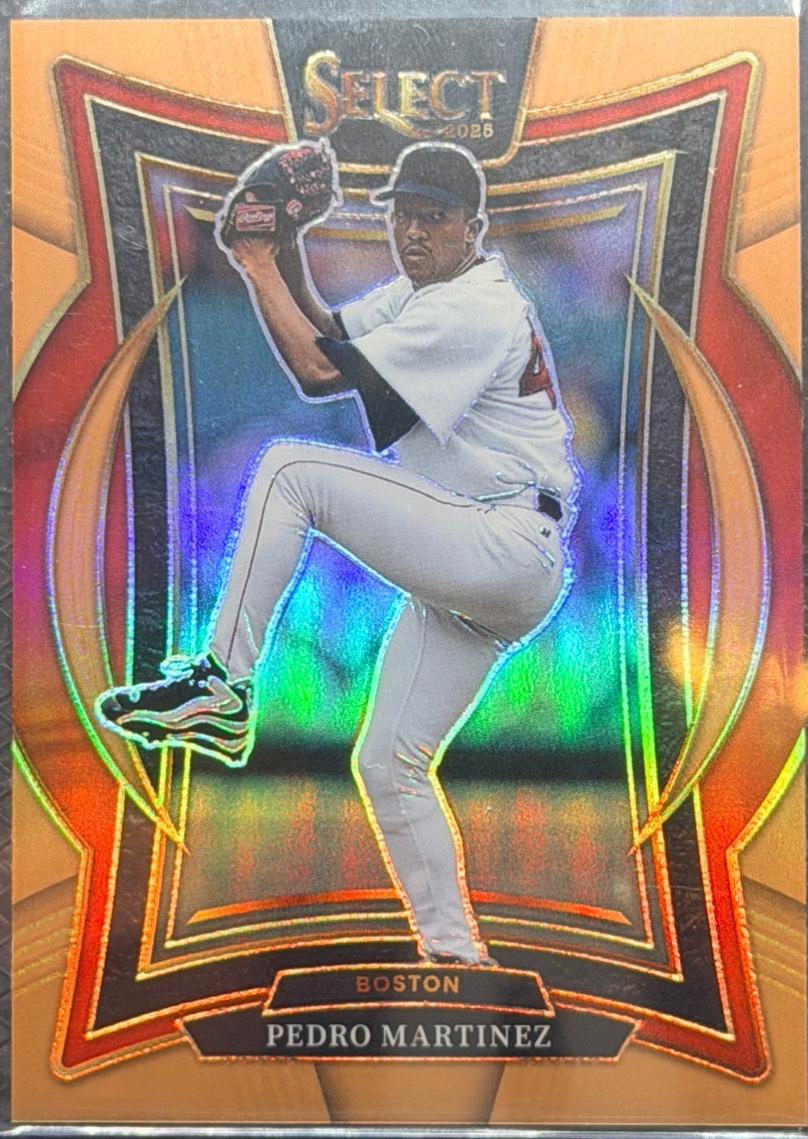 Pedro Martinez [Bronze] #6