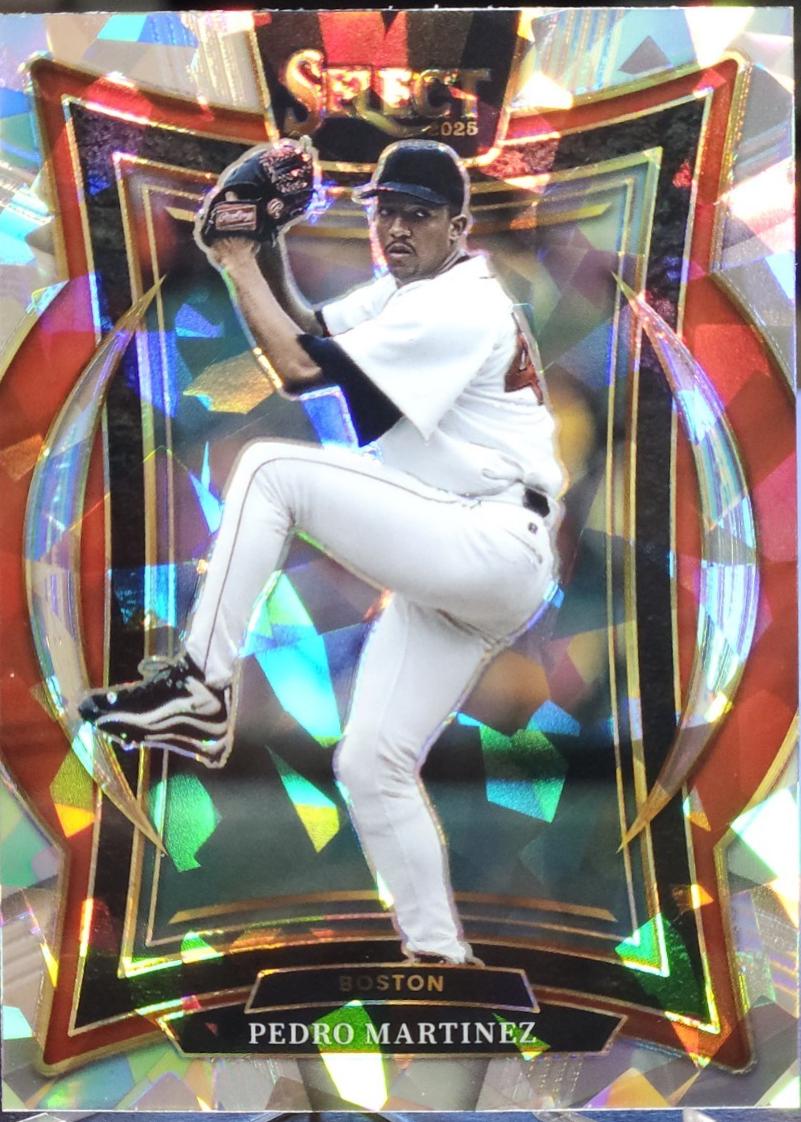 Pedro Martinez [Ice] #6