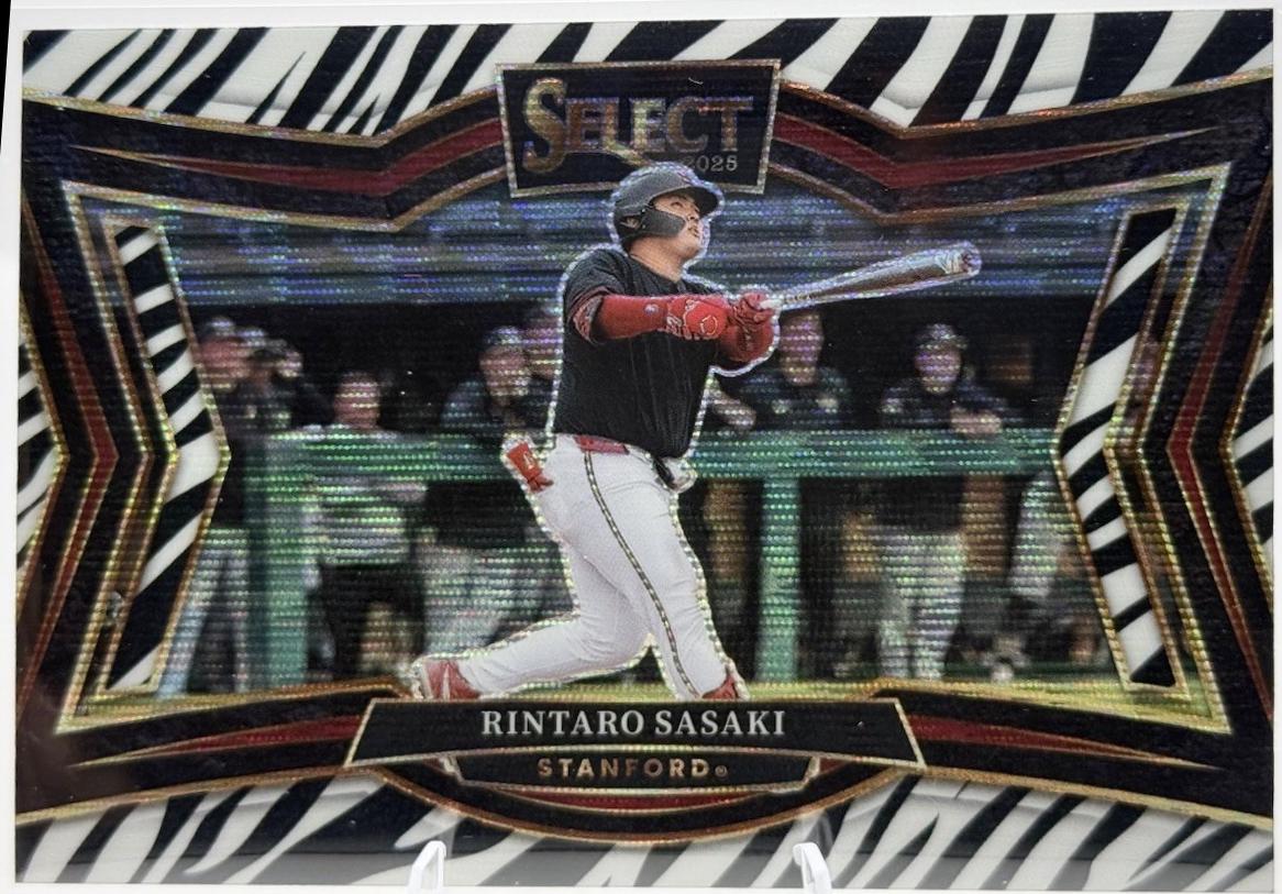 Rintaro Sasaki [Zebra] #296