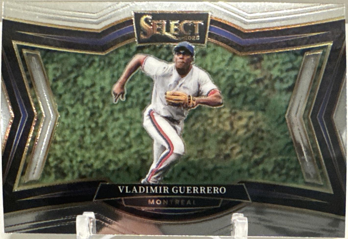 Vladimir Guerrero #270