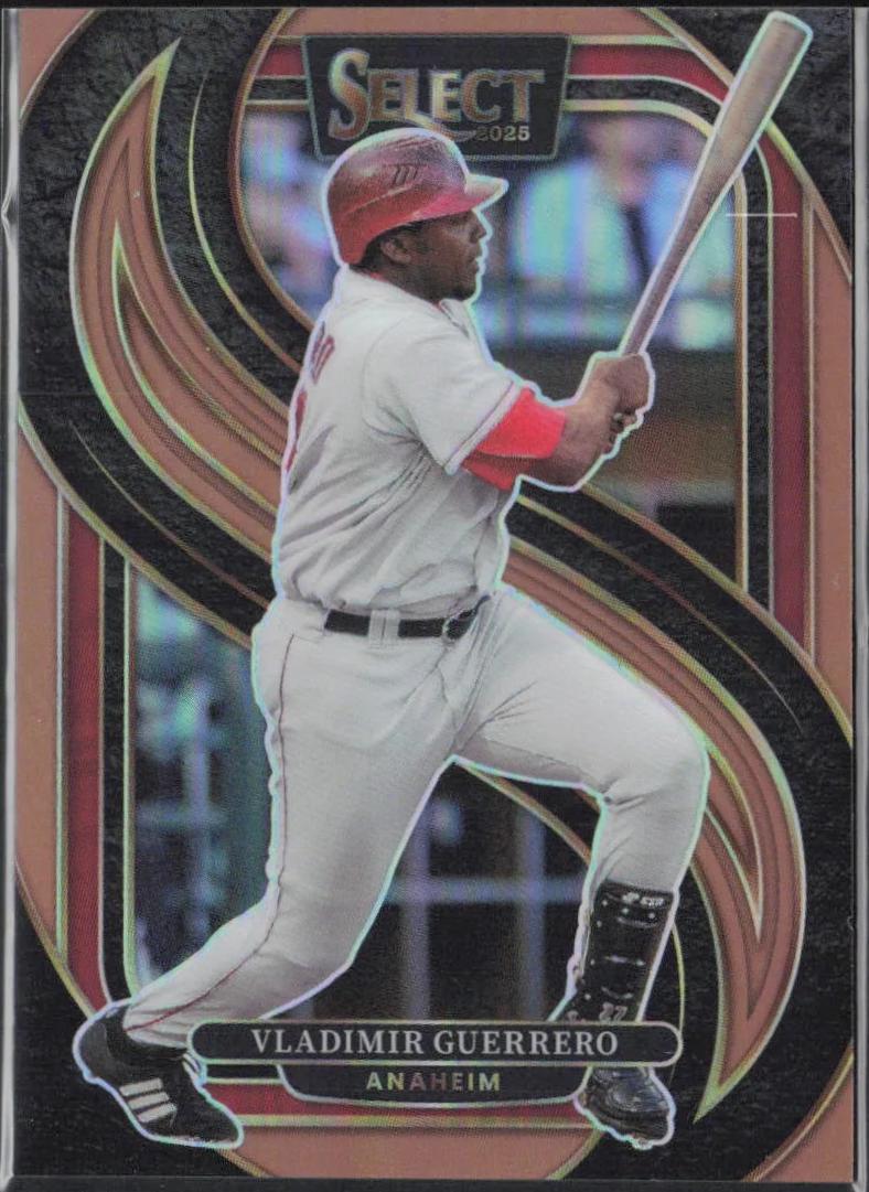 Vladimir Guerrero [Bronze] #140