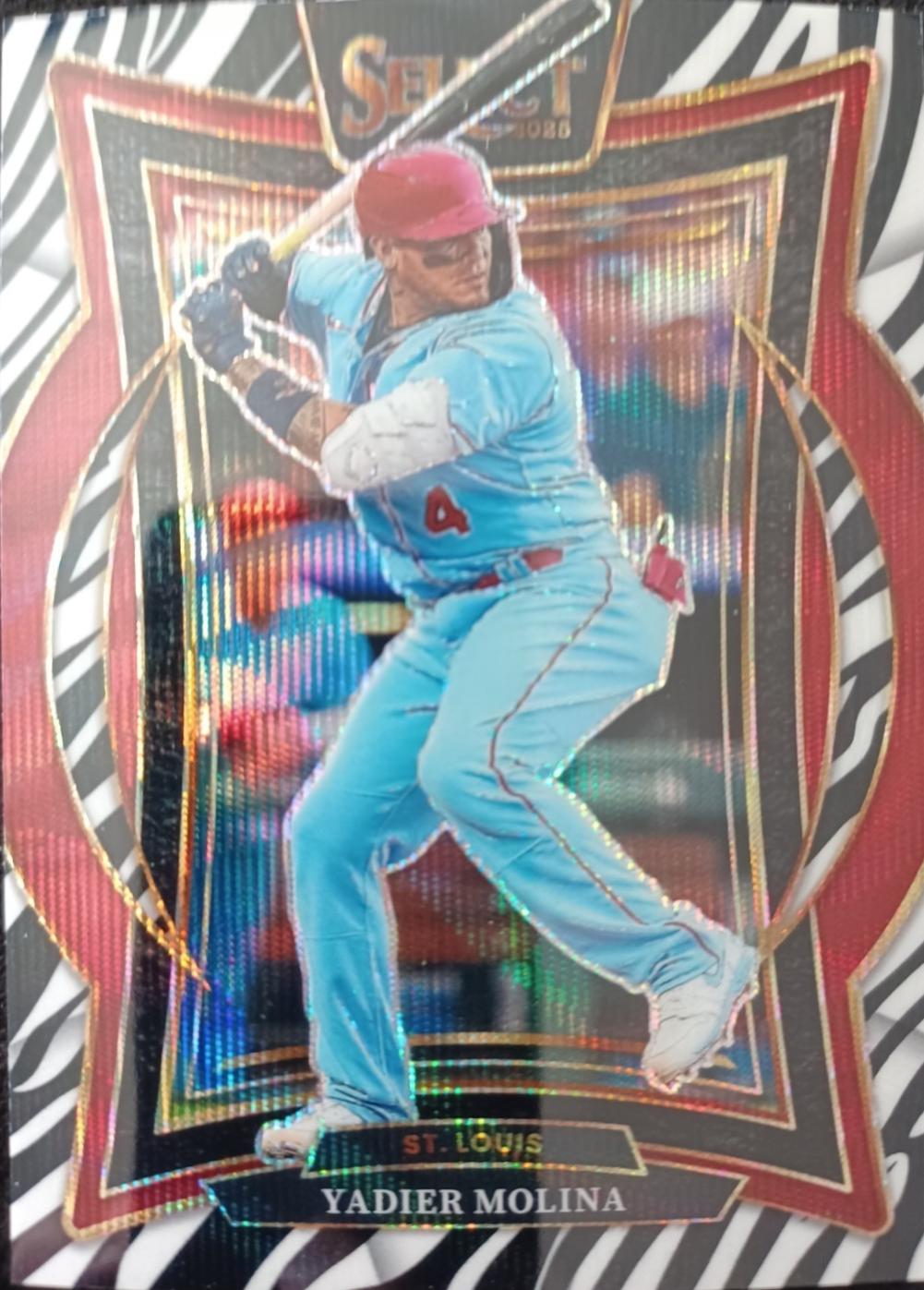 Yadier Molina [Zebra] #27