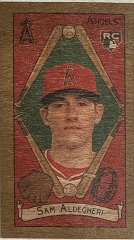 Sam Aldegheri [Wood Stock]