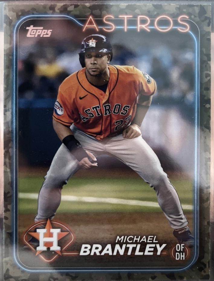 Michael Brantley [Memorial Day Camo] #381