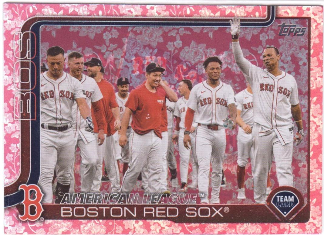 Boston Red Sox [Complete Set Foilboard] #264