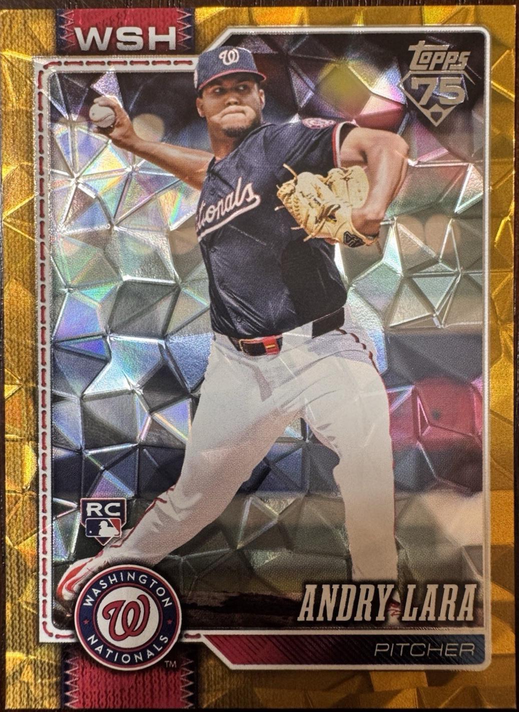 Andry Lara [Canvas] #36