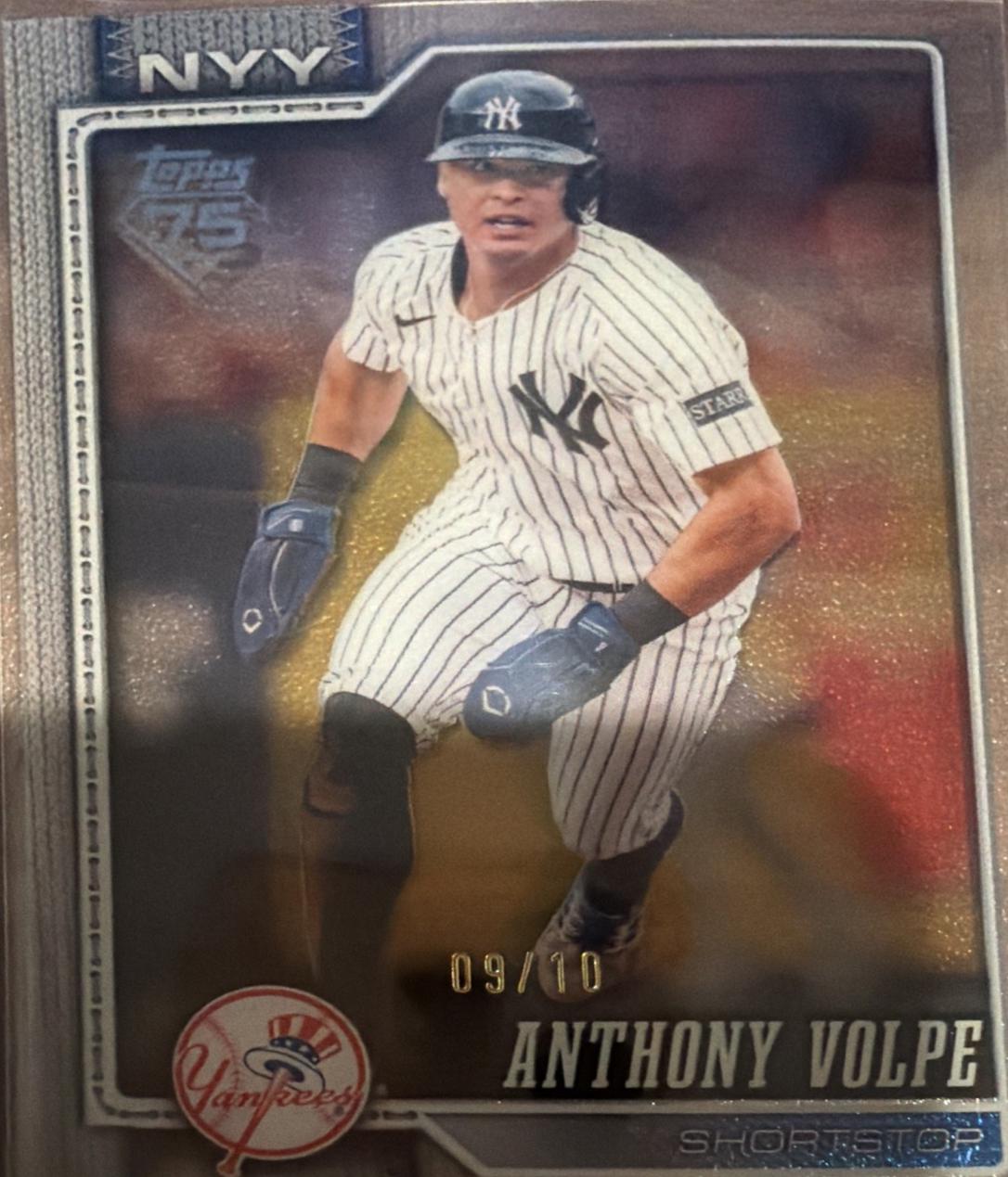 Anthony Volpe [Clear Variation] #308